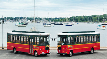 Viking Trolley Tours